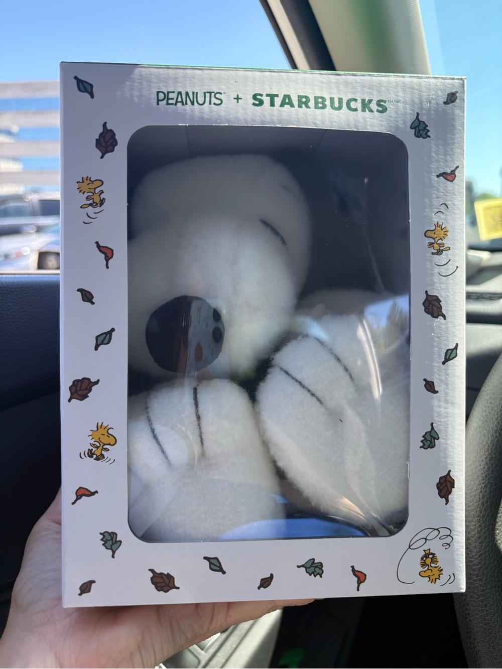 NEW Starbucks x Peanuts Snoopy Plush 2026 Great Pumpkin Limited Edition IN BOX